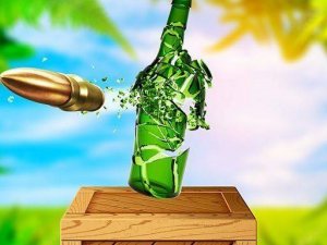 Xtreme Bottle Shoot: Target Practice Game