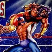 Saturday Night Slam Masters Online Game
