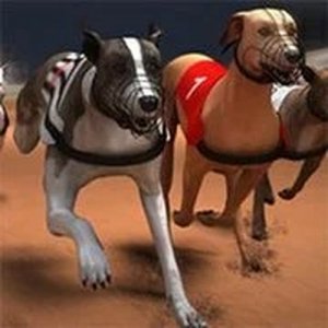 Greyhound Track Dash Arcade Game