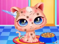 Kitten Rescue and Dress-Up