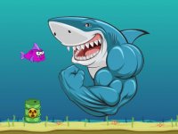 Ocean Shark Collection Journey