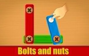 Bolts and Nuts: The Logic Puzzle Online Game