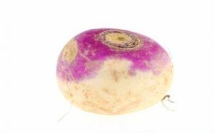 Turnip Harvest Idle Clicker